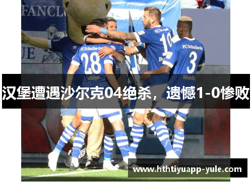 汉堡遭遇沙尔克04绝杀，遗憾1-0惨败